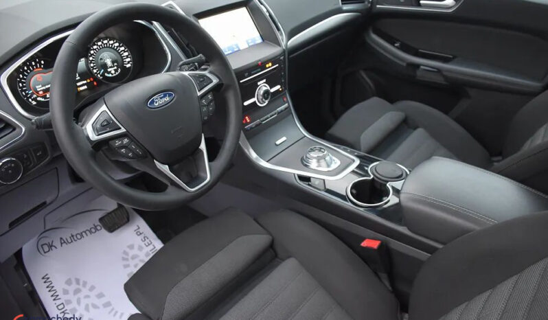 Ford S-Max 2.0 EcoBlue Titanium full