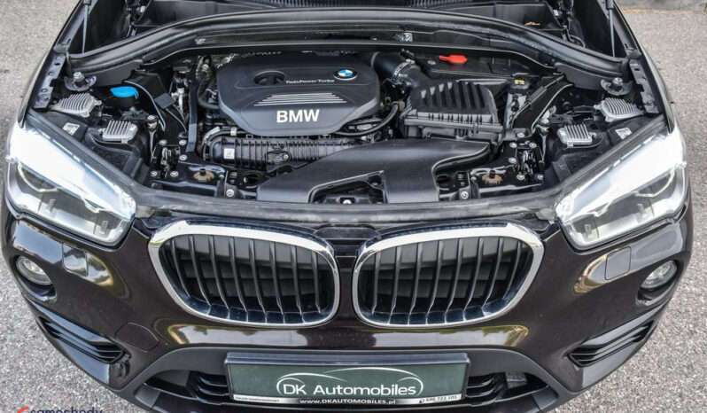 BMW X1 xDrive20i xLine sport full