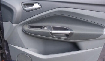 Ford C-MAX 2.0 TDCi Titanium full