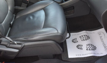 Fiat Freemont 2.0 Multijet 16V DPF Automatik Allrad Black Code full